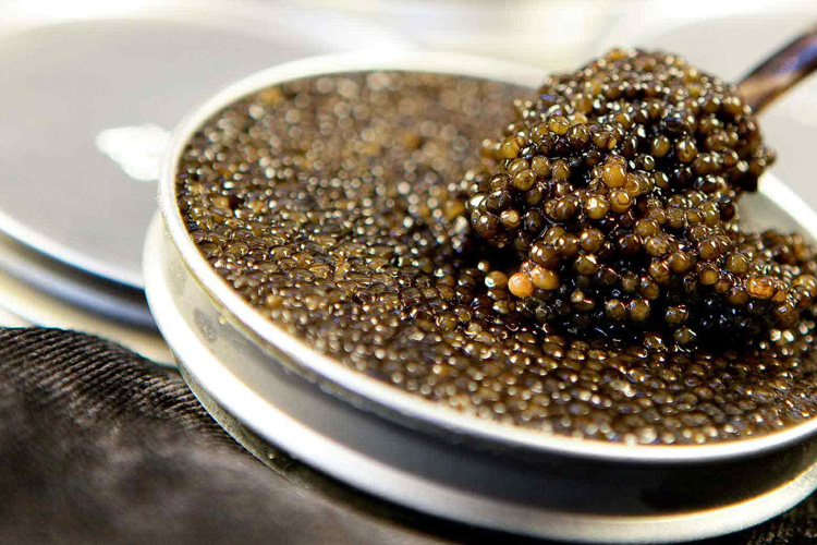 Le Caviar, c’est quoi ?